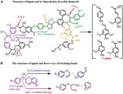 Oxidative C−C bond cleavage of lignin via electrocatalysis